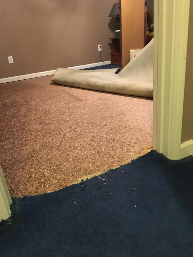 Carpet pad removal revealing water damage during Drying & Dehumidification in Harriman