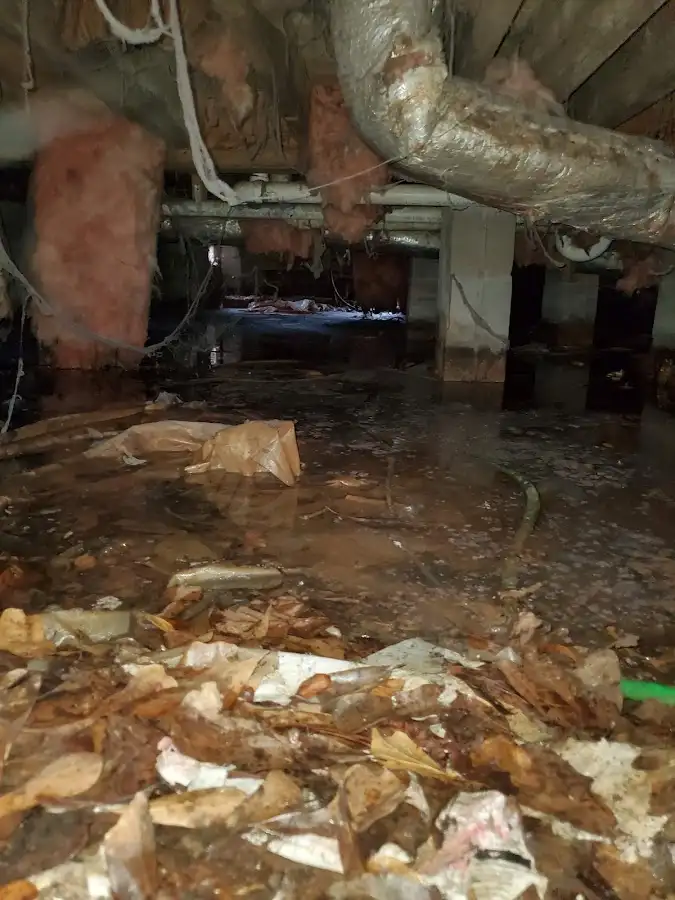 Crawl space flood assessment for Leak Detection & Repair in Harriman